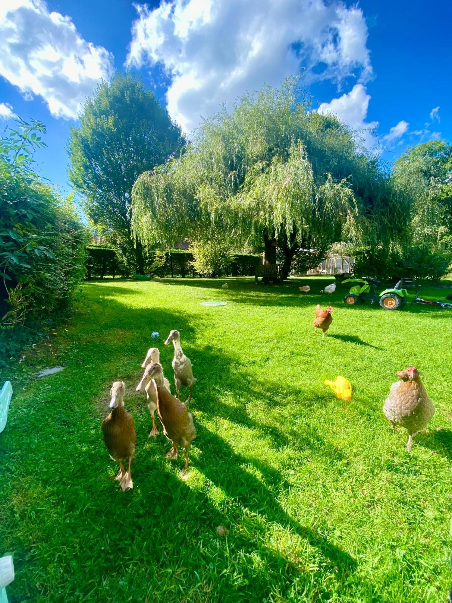 Le Clos De L'Ermitage Saint-Josse Dış mekan fotoğraf